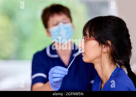 Test PCR infermiere Foto Stock