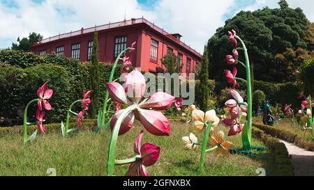 PORTO, PORTOGALLO - Lug 05, 2021: I fiori rosa sul prato nel Giardino Botanico di Porto, Portogallo Foto Stock