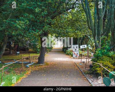 PORTO, PORTOGALLO - Lug 05, 2021: Un percorso attraverso gli alberi decorativi nel Giardino Botanico di Porto, Portogallo Foto Stock