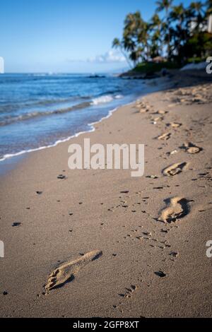 Le impronte di Lone segnano una spiaggia altrimenti incontaminata che aveva i suoi difetti cancellati dall'alta marea della notte precedente. Foto Stock