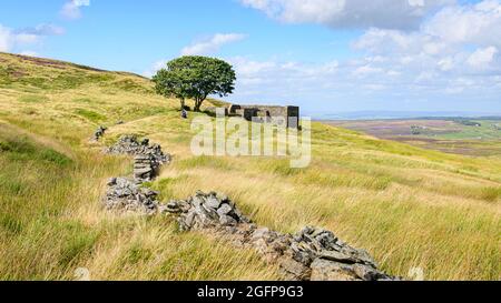 Top Withens sulle bellissime brughiere sopra Haworth Foto Stock