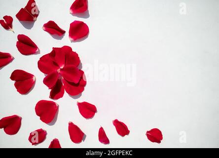 Bel cuore di petali rossi secchi di rosa isolato su sfondo bianco, spazio  copia, San Valentino romantico concetto spazio per il testo Foto stock -  Alamy