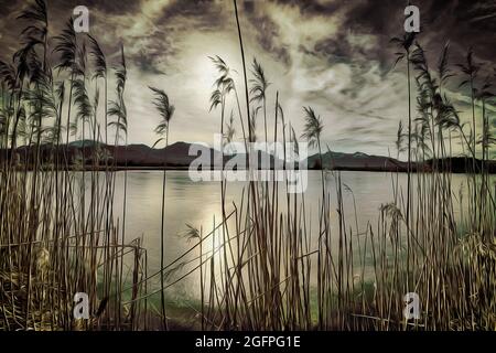 ARTE: Spatzenpointweiher (Stagno di Sparrow) a Loisach Moor a Benediktbeuern, Baviera, Germania Foto Stock