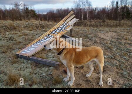 Iscrizione territorio privato russo, cartello rotto e cane. Russia, Nord-Ovest, 30 dicembre 2019 Foto Stock