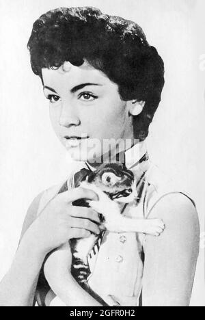 Scheda da collezione con Annette Funicello, attrice, cantante e membro originale dei Disney Mousketeers. Foto Stock