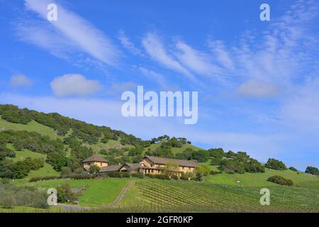 L'azienda vinicola Nicholson Ranch, Sonoma CA Foto Stock