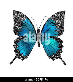 Farfalla astratta blu. Illustrazione vettoriale Illustrazione Vettoriale