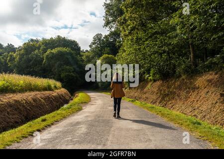 Una femmina sul sentiero nella foresta di Broceliande in Bretagna, vicino Rennes, Francia Foto Stock