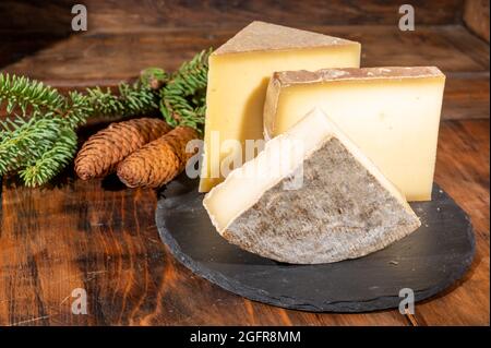 Collezione di formaggi, formaggi francesi di mucca comte, beaufort, abondance, tomo de savoie e coni di abete Foto Stock