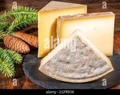 Collezione di formaggi, formaggi francesi di mucca comte, beaufort, abondance, tomo de savoie e coni di abete Foto Stock