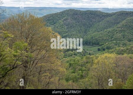 Cranberry Hill, Virginia occidentale. Vista primaverile da Cranberry Mountain Scenic Point. Foto Stock