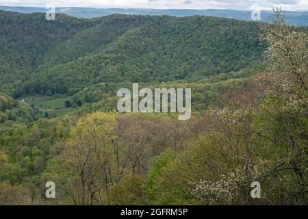 Cranberry Hill, Virginia occidentale. Vista primaverile da Cranberry Mountain Scenic Point. Foto Stock