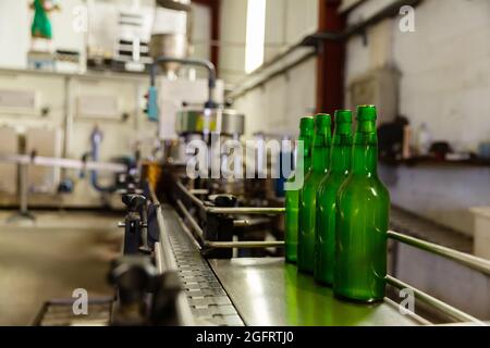 Bottiglie di sidro su linea di imbottigliamento Foto Stock