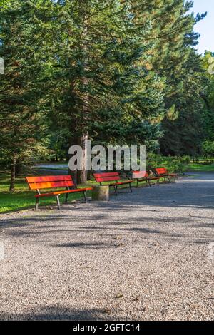 Bella vista di un parco con molti alberi, panchine e verde Foto Stock