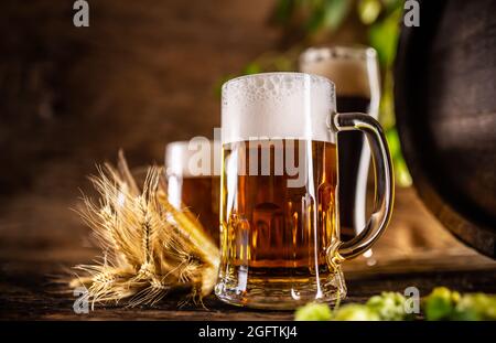 Tre bicchieri con birra alla spina davanti a un barile di legno. Decorazione di spighe d'orzo e luppolo fresco. Foto Stock