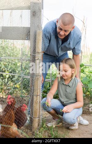 Papà e figlia che alimentano polli Foto Stock