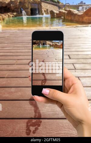 Immagine ravvicinata del telefono cellulare con le mani femminili e la modalità fotocamera sullo schermo. Immagine ritagliata delle impronte sul pavimento di legno dietro di esso Foto Stock