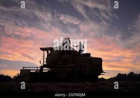 Silhouette1984 archivio vista di un agricoltore disgregato mietitrebbia bloccato in terreno agricolo campo di grano anni 80 tempo di raccolto con contadino & uomini che lavorano tardi sulla macchina per riavviare la mietitura in prima serata tramonto tramonto tramonto cielo crepuscolo in agricoltura d'archivio degli anni 80 Immagine Essex Campagna Inghilterra UK Foto Stock