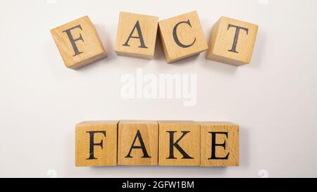 La parola fatto o Fake è stata creata da cubi di legno. Foto Stock