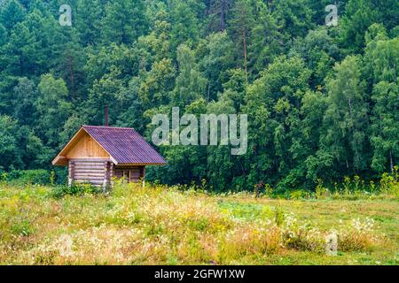 Bagno in legno nella splendida natura russa vicino al fiume. Foto Stock