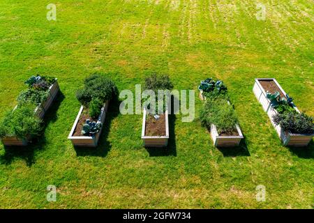 Letti rialzati, con piante ornamentali e utili diverse, Foto Stock