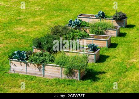 Letti rialzati, con piante ornamentali e utili diverse, Foto Stock