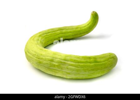 Cetriolo armeno (Cucumis melo var. Flexuosus) su sfondo bianco Foto Stock