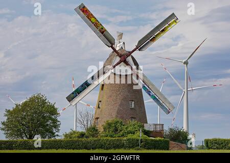 Museo mulino a vento a Breberer, Selfkant-Muehlenstrasse con ruote a vento, Germania, Renania settentrionale-Vestfalia, basso Reno, Gangelt Foto Stock
