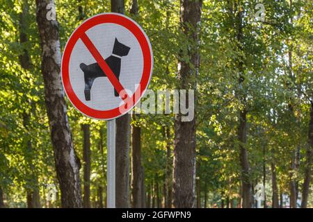 bianco-rosso non sono ammessi cani segno su palo in estate verde parco foresta - primo piano con fuoco selettivo e sfondo bokeh sfocatura. Foto Stock