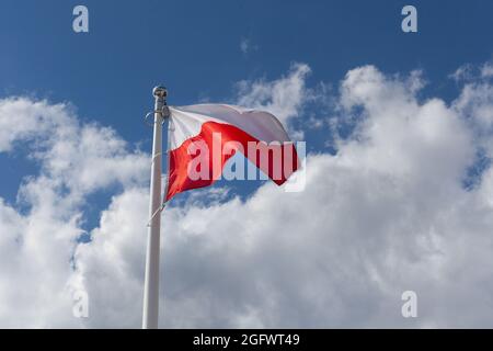 Bandiera nazionale polacca e cielo di primavera blu. Simbolo nazionale della Polonia sull'albero. Foto Stock