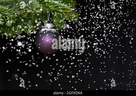 Palla di natale viola appesa su un ramo di abete mentre nevica, sfondo scuro, copia o spazio di testo. Foto Stock