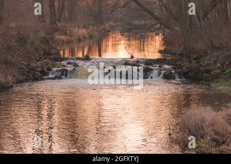 Una cascata su un piccolo fiume lowland che scorre attraverso una foresta decidua. Fine autunno. Foto Stock