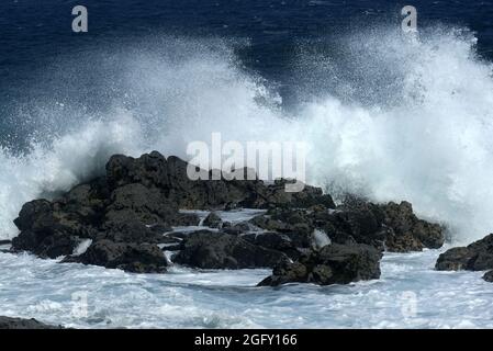 Enormi onde che si infrangono sulle coste rocciose al largo di ho'okipa Lookout sulla costa settentrionale di Maui Foto Stock