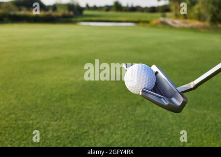 Putter con palla da golf bianca, primo piano. Fairway di campo da golf con erba verde sullo sfondo Foto Stock