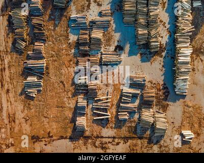 Segheria Lumber Mill industria pile di tronchi di pino su Yard Drone View. Foto Stock