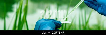 Campionamento da acqua aperta. Uno scienziato o un biologo prende un campione di acqua. Prelevare un campione d'acqua in una provetta per analisi chimica con una pipetta Foto Stock