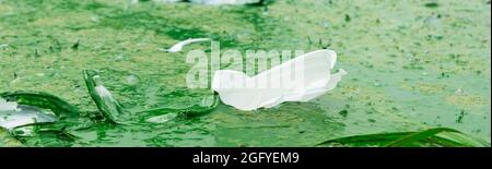 Una piastra di plastica usa e getta è stata gettata in un fiume fangoso. Inquinamento della natura. Inquinamento idrico. Protezione ambientale Foto Stock