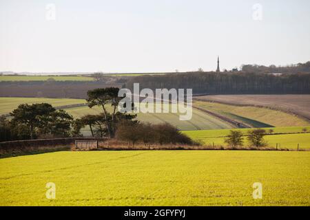 Una vista a lunga distanza del Tatton Sykes Monument nell'East Yorkshire, Regno Unito Foto Stock