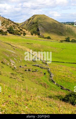 Thorpe Cloud, una collina di pietra calcarea isolata, all'estremità meridionale di Dovedale sul confine tra lo Staffordshire e il Derbyshire, Inghilterra, Regno Unito Foto Stock