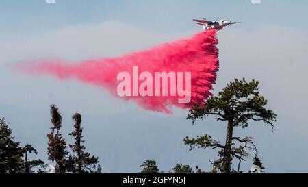 Cedar Fire aereo ritardante e operazioni d'acqua su Black Mountain nel Dipartimento dell'Agricoltura degli Stati Uniti (USDA) Forest Service (FS) Sequoia National Forest, nei pressi di alta Sierra, CA, martedì 23 agosto, 2016. USDA Foto di Lance Cheung. Per maggiori informazioni si prega di consultare: www.usda.gov www.fs.fed.us @usda @forestservice Video su wildland antincendio https://youtu.be/QxJFIfkOQLY Foto Stock