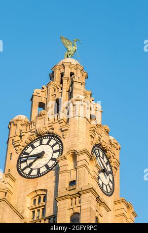 Uno dei Liver Birds sul Royal Liver Buidling affronta il sole mentre tramonta sullo skyline di Liverpool nell'agosto 2021. Foto Stock