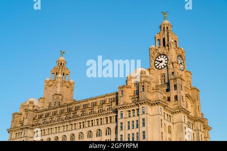 Il Royal Liver Building ha rappresentato una serata bagnata di luce dorata vista contro un cielo blu sullo skyline di Liverpool nell'agosto 2021. Foto Stock