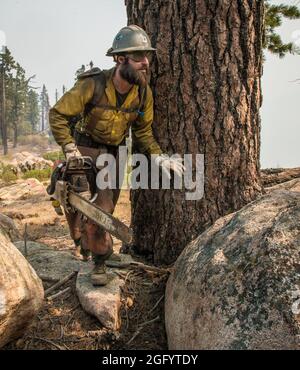 U.S. Department of Agriculture (USDA) Forest Service (FS) Forestry Technician Clyde Carroll mitiga i pericoli dei percorsi di sgombero bloccati da alberi morti e caduti e spazzola consentendo ad altri equipaggi di entrare e uscire meglio dalla zona per aiutare a fermare il fuoco di cedro nella e intorno alla sequoia National Forest, e Posey, CA, martedì 23 agosto, 2016. USDA Foto di Lance Cheung. Per ulteriori informazioni si veda: www.usda.gov www.fs.fed.us @usda @forestservice si veda il video sui vigili del fuoco di wildland https://youtu.be/QxJFIfkOQLY Foto Stock