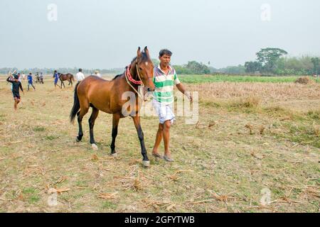 Corsa di cavalli rurali a sud 24 Parganas bengala ovest Foto Stock