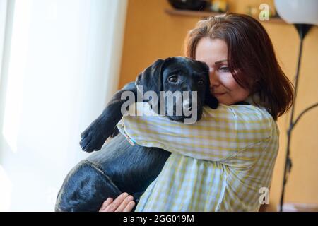 Ritratto di donna di mezza età e nero labrador cucciolo cane Foto Stock