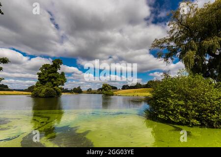 Petworth Park a Petworth House a Petworth, West Sussex, Regno Unito Foto Stock