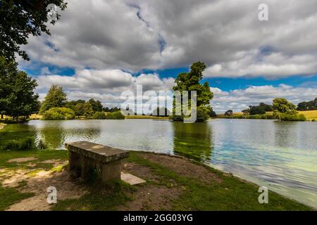 Petworth Park a Petworth House a Petworth, West Sussex, Regno Unito Foto Stock