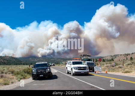 California Highway Patrolman e CalTrans dipendenti fornire la chiusura della strada e l'ingresso sicuro e l'accesso per i vigili del fuoco e altre risorse nella zona del complesso Beckwourth Fire 8 luglio 2021 vicino al lago Frenchman in N. California. Molte risorse sono state attivate per contenere questo incendio, tra cui tre Air National Guard C-130s--due dal Nevada e uno dalla California che aiuterà a combattere il Beckwourth Complex Fire. Gli aerei dotati di Air Force C-130 MAFFS, sono richiesti dal National Interagency Fire Center e approvati dal Segretario della Difesa, stanno fornendo un fuoco unico f Foto Stock