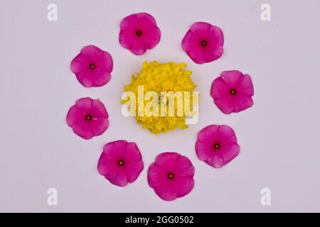 Splendidi rangoli floreali con fiori di marifolio e perivinkle o petali di fiori di vinca. Rangoli di fiori per decorazioni Onam o festival Diwali d Foto Stock