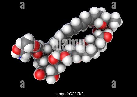 Molecola antifungina di amfotericina B, illustrazione. La formula chimica è C47H73NO17. Gli atomi sono rappresentati come sfere: Carbonio (grigio), idrogeno (bianco), ossigeno (rosso). Foto Stock